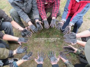 Wolfszeit Naturkraft Survival und Bushcraft in der Rhön, Bayern. Kastanienseife. 