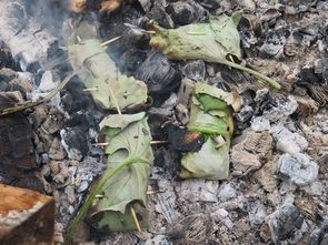 Wolfszeit Naturkraft Bushcraft und Survival in Franken,  Bayern Rhön, Deutschland. Survivaltraining,  Überlebenstraining,  Krisenvorsorge,  Krisenprävention,  Survival und Trekking in Norwegen und Schweden 