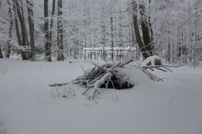 Wolfszeit Naturkraft Winter Survival und Bushcraft in Deutschland, Bayern, Hessen, Thüringen, Rhön