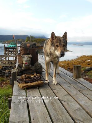 Wolfszeit Naturkraft Survival und Bushcraft Trekkingtour in Norwegen