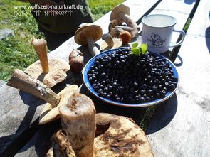 Wolfszeit Naturkraft Survival und Bushcraft in der Rhön, Fränkische Schweiz, Nahrung