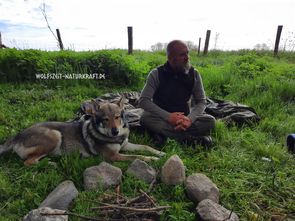 Wolfszeit Naturkraft | Peter Wörner, Bushcraft und Survival in Deutschland, Bayern, Rhön | Survivaltrainings | Survival Training | Überlebenstraining in Bayern, Hessen, Thüringen | Survival und Bushcraft in der Rhön | Survivaltraining in Franken | Survivalkurs | Survival Kurs Bayern | Abenteuer Überleben | Waldläuferhandwerk | Krisenprävention | Krisenvorsorge