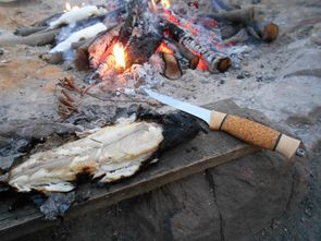 Wolfszeit Naturkraft Survival und Bushcraft in der Rhön, Fränkische Schweiz, Forelle