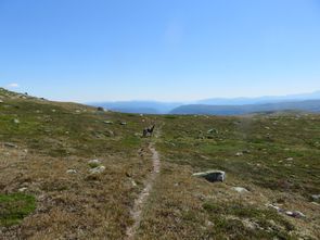 Wolfszeit Naturkraft Bushcraft und Survival in Bayern Rhön, Deutschland. Survivaltraining,  Überlebenstraining,  Krisenvorsorge,  Krisenprävention,  Survival und Trekking in Norwegen und Schweden 